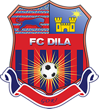 Dila Gori